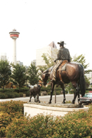 Calgary5