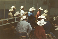 Rodeo12