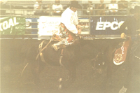 Rodeo4