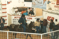 Auction06