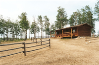 Cabin01
