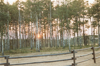 Ranch02