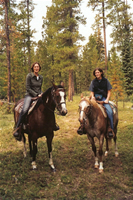 Ranch08