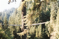 Vancouver09